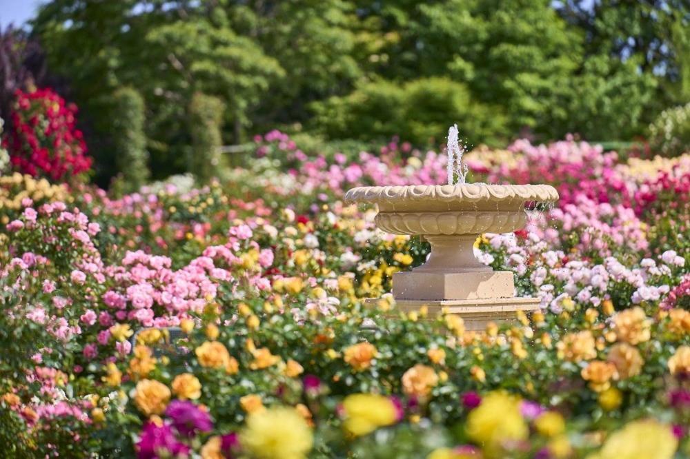ウィシュトンホテル ユーカリ 佐倉市 エクステリア 写真